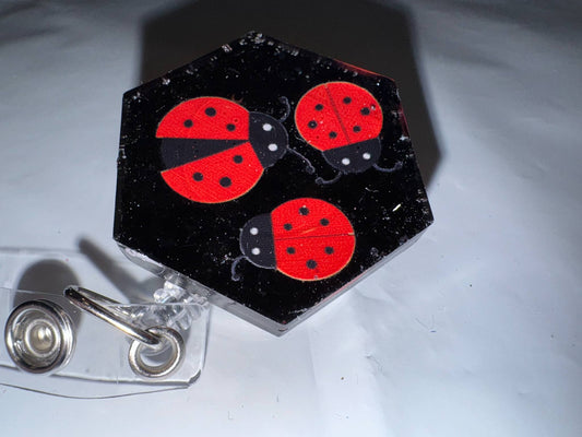 LadyBug Trio